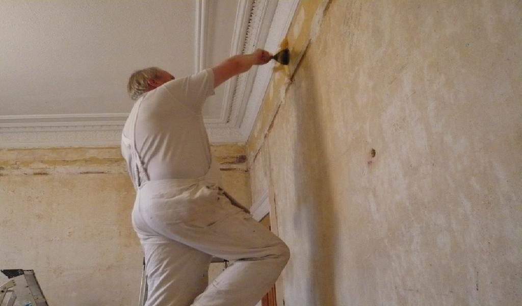 Debería contratar a un profesional para pintar mi casa?